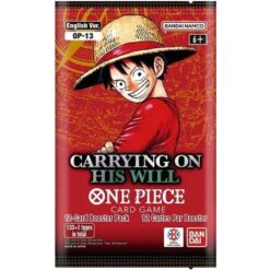 One piece 13 Carrying on his will