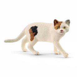 Schleich Amerikaanse kortharige kat 13894