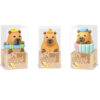 Capibara gum