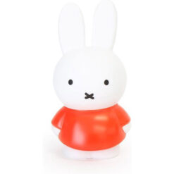 Nijntje spaarpot oranje