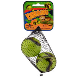 Grote knikker kinkajou