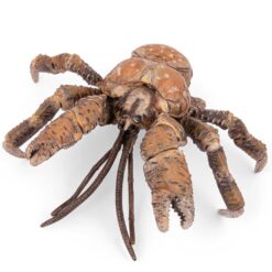 Papo 56020 Coconut crab