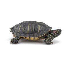 Papo Florida schildpad 50309