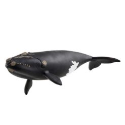 Schleich 14878 Noordkaper