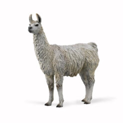 Collecta 3388991 Lama