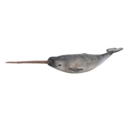 Collecta Tandwalvis - Narwal