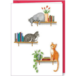 Kaart met 3 katten