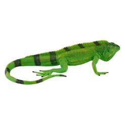 Mojo 381095 Leguaan