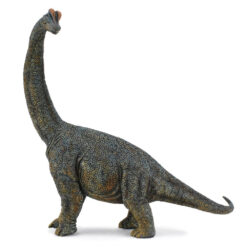 Collecta 1:40 Deluxe Brachiosaurus 