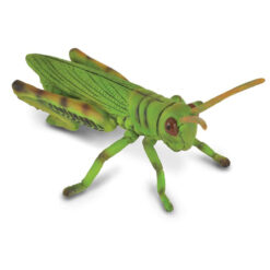 Collecta 3388352 Sprinkhaan 
