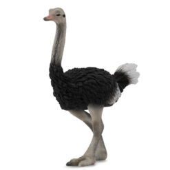 Collecta 3388459 Struisvogel 