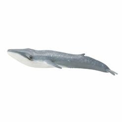 Collecta 3388834 Blauwe Vinvis
