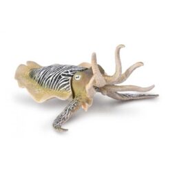 Collecta 80009 Gewone zeekat