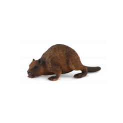 Collecta Bever 