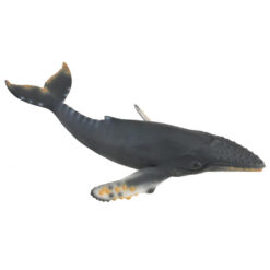Collecta bultrug