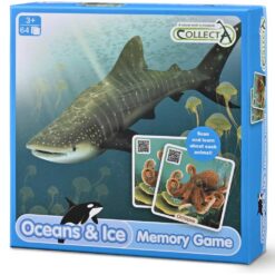 Collecta memory oceanen en ijs