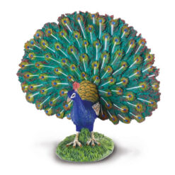 Collecta Pauw