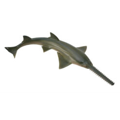 Collecta Zaagvis