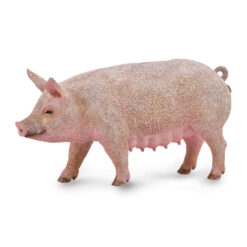 Collecta Zeug