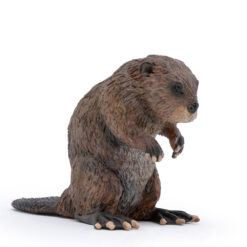 Papo bever