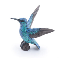 Papo Kolibri