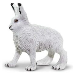 Safari Arctic Hare