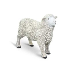 Safari Sheep