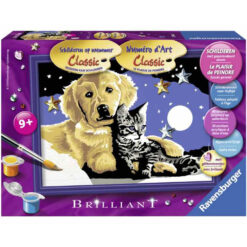 Schilderen op nummer hond en kat