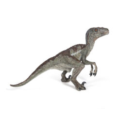 Velociraptor