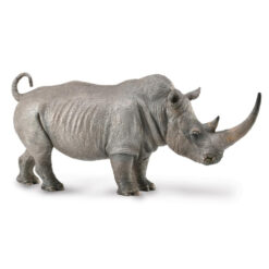 Witte Neushoorn