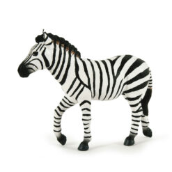 Zebra mannetje