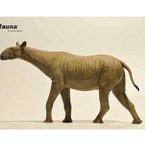 EOfauna Paraceratherium