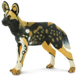 Safari African wild dog