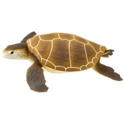 Safari Green Sea Turtle