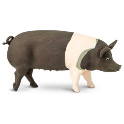 Safari Hampshire Pig