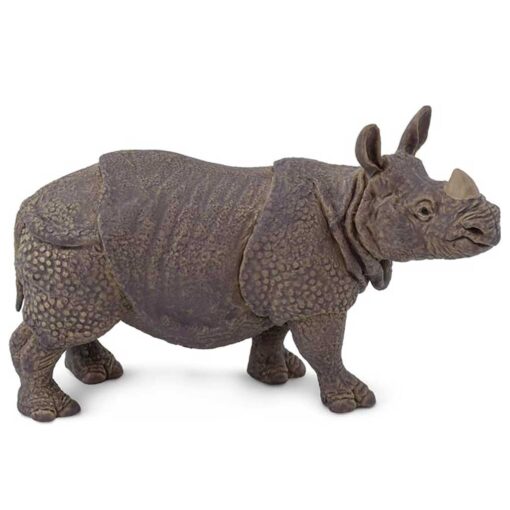 Safari Indian Rhino