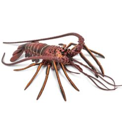 Safari Langoust