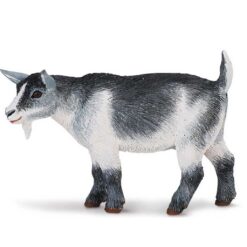 Safari Pygmy Nanny Goat