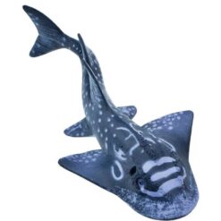 Safari Shark Ray